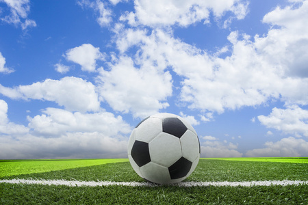 多平台下载支持